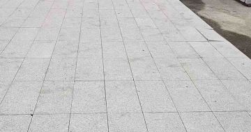 河源芝麻白地铺案例