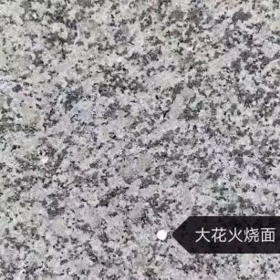 河源 芙蓉白（芝麻白大花）火烧面