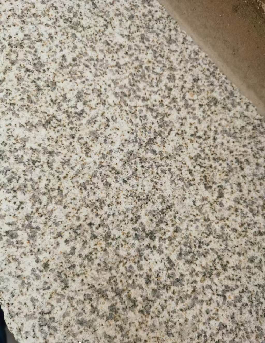 河源 黄金麻中黄光面