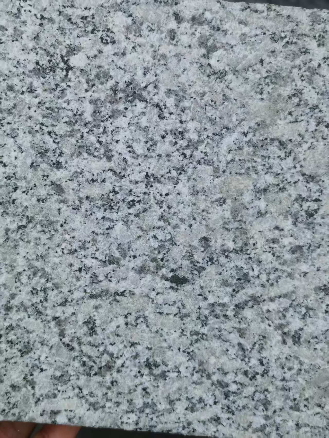 河源 芙蓉白火烧面