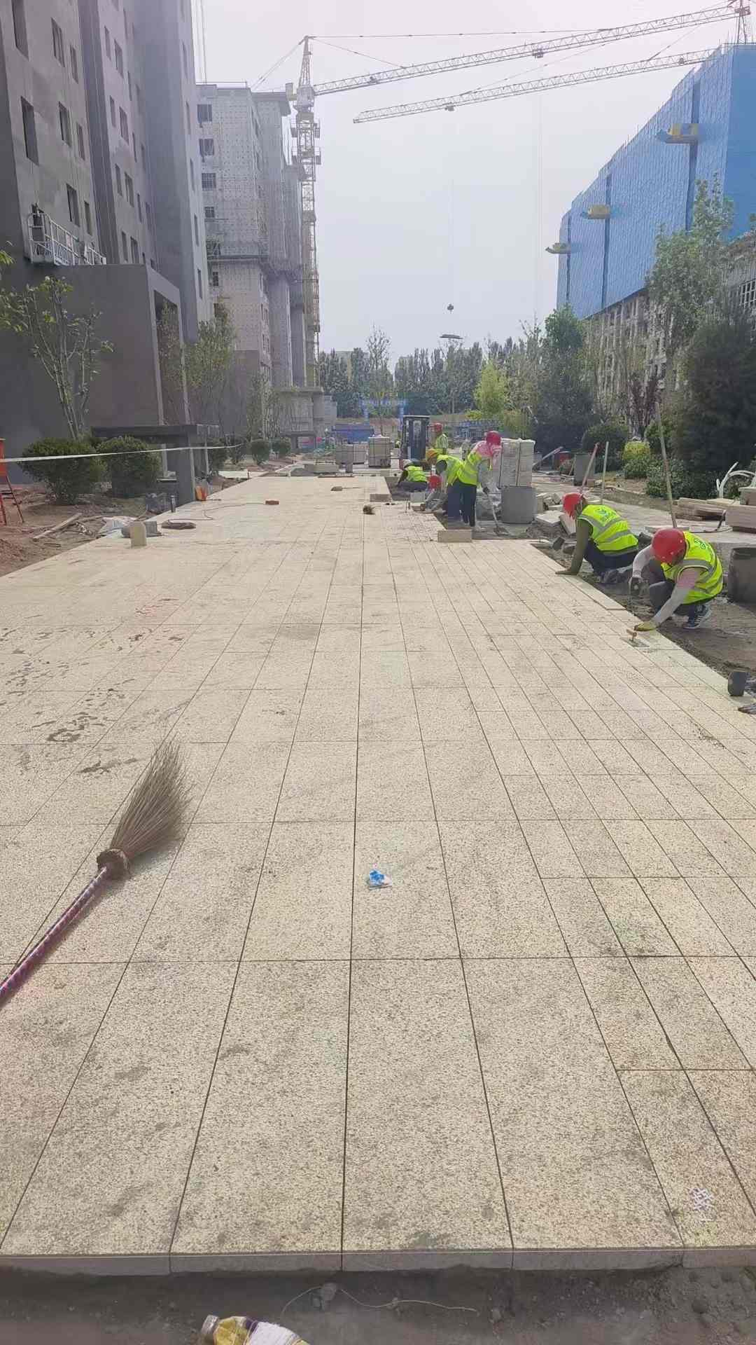河源黄金麻荔枝面地铺案例