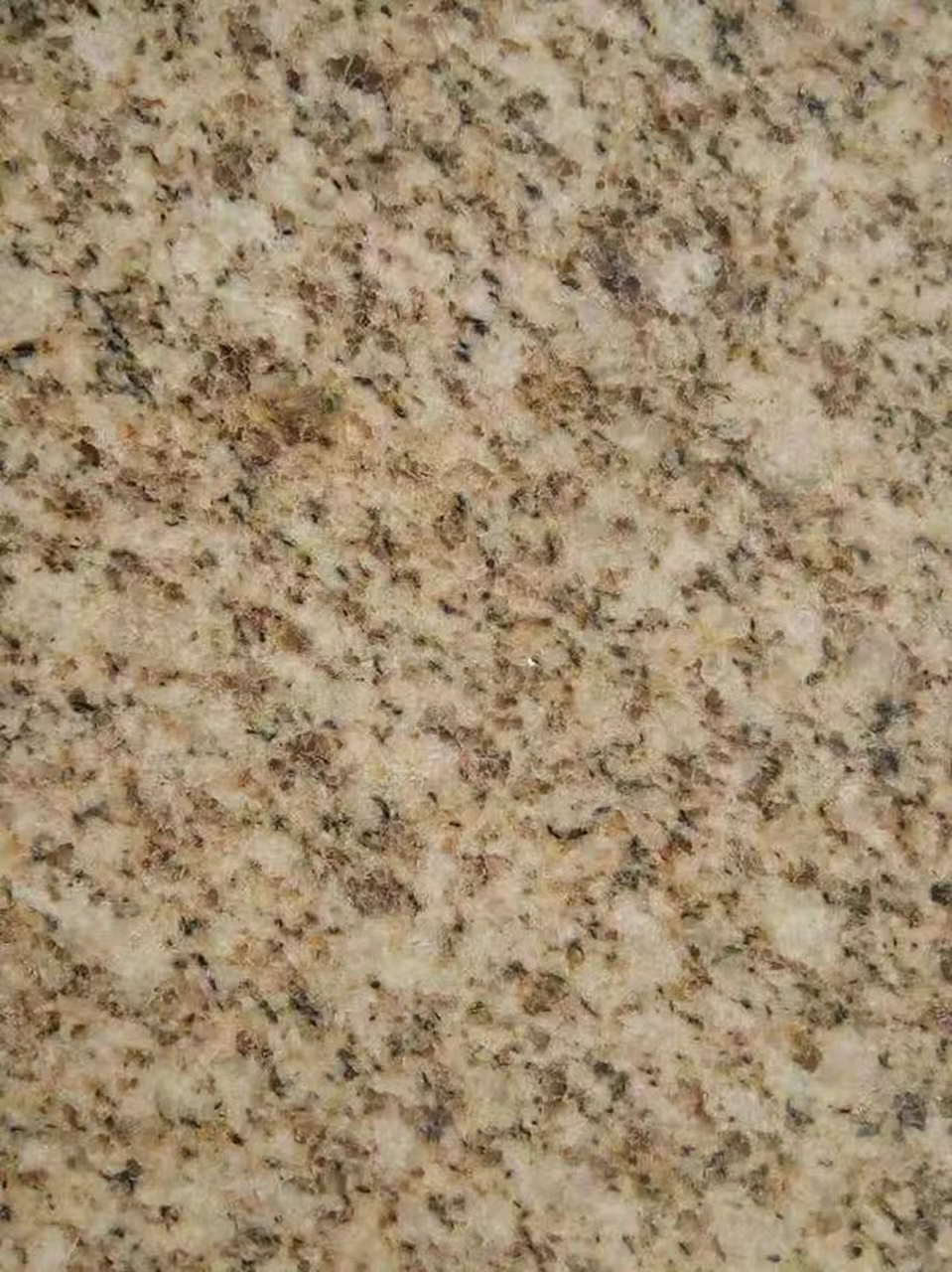 河源黄金麻光面大花